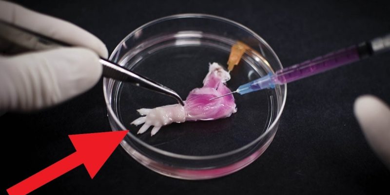 Most AMAZING Recent Technology!