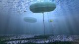 Sustainable energy: New energy innovations to make the future brighter – Compilation